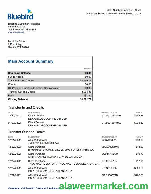 USA Bluebird bank statement Word and PDF template, 3 pages